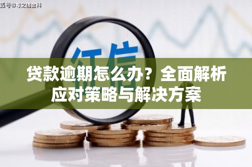 任城贷款逾期怎么办？全面解析应对策略与解决方案