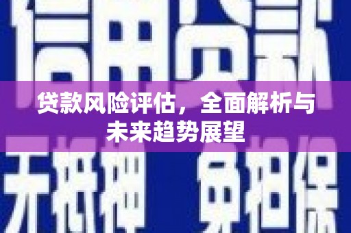 任城贷款风险评估，全面解析与未来趋势展望