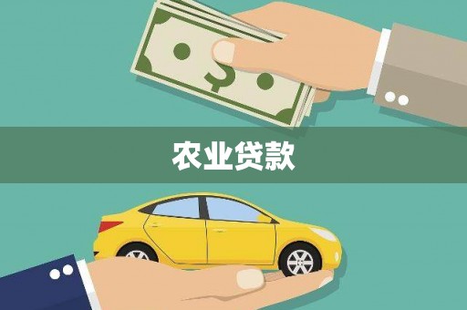 任城农业贷款