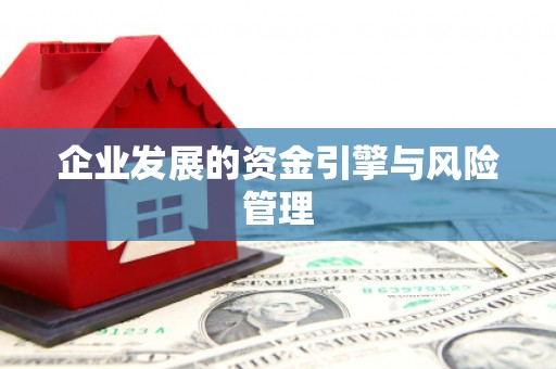 任城企业发展的资金引擎与风险管理