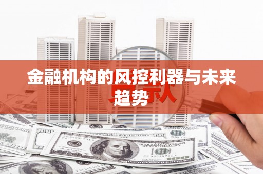 任城金融机构的风控利器与未来趋势