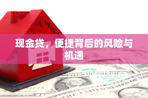 任城现金贷，便捷背后的风险与机遇