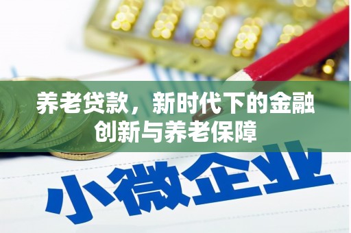 任城养老贷款，新时代下的金融创新与养老保障