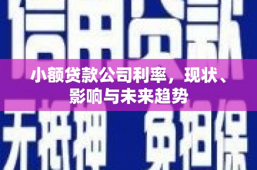 任城小额贷款公司利率，现状、影响与未来趋势