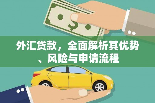 任城外汇贷款，全面解析其优势、风险与申请流程