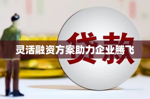 任城灵活融资方案助力企业腾飞