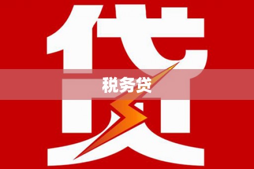 任城税务贷