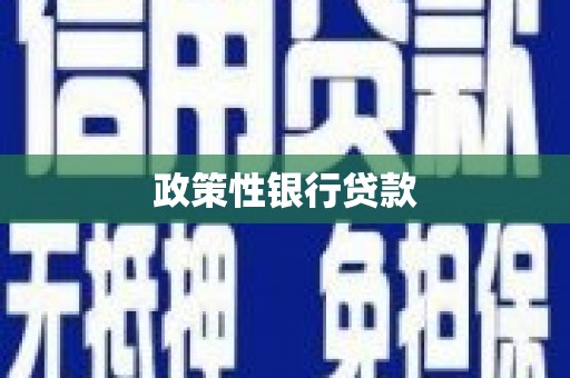 任城政策性银行贷款