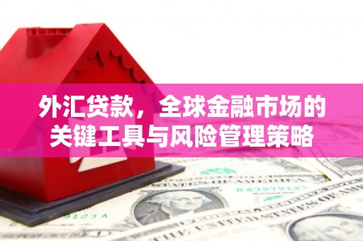 任城外汇贷款，全球金融市场的关键工具与风险管理策略
