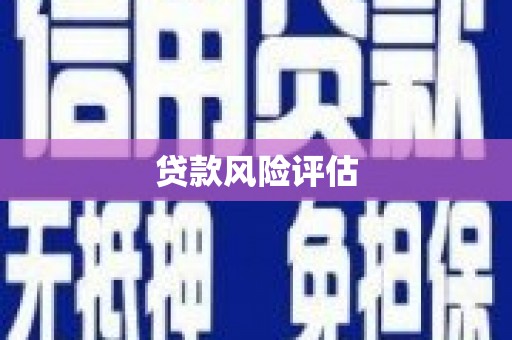 任城贷款风险评估