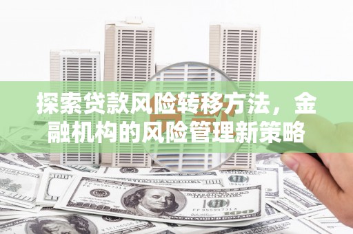 任城探索贷款风险转移方法，金融机构的风险管理新策略