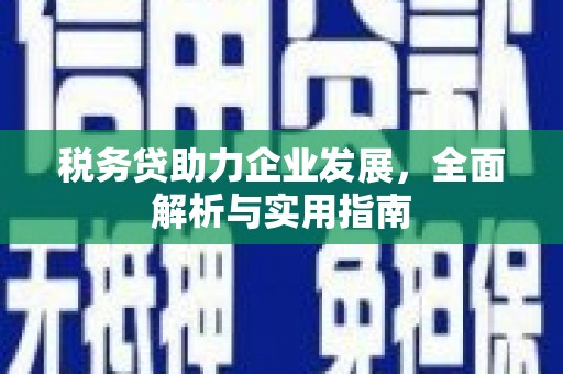 任城税务贷助力企业发展，全面解析与实用指南