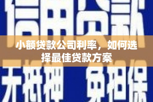 任城小额贷款公司利率，如何选择最佳贷款方案
