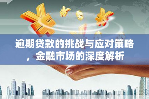 任城逾期贷款的挑战与应对策略，金融市场的深度解析