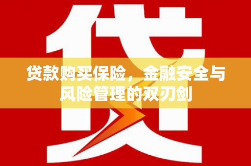 任城贷款购买保险，金融安全与风险管理的双刃剑