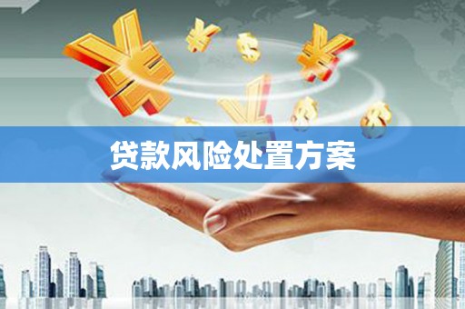 任城贷款风险处置方案