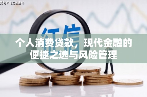 任城个人消费贷款，现代金融的便捷之选与风险管理