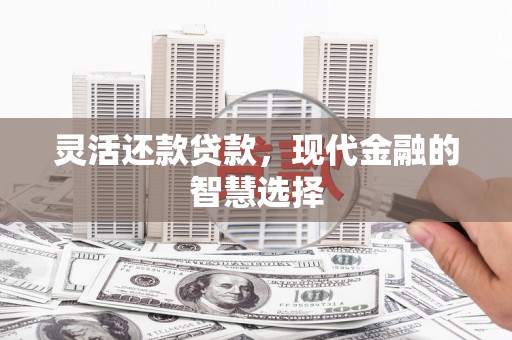 任城灵活还款贷款，现代金融的智慧选择