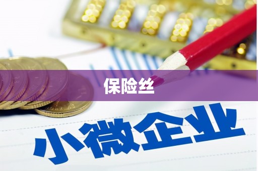 任城保险丝