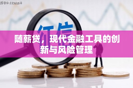 任城随薪贷，现代金融工具的创新与风险管理