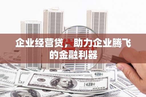 任城企业经营贷，助力企业腾飞的金融利器