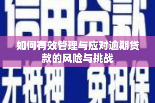 任城如何有效管理与应对逾期贷款的风险与挑战