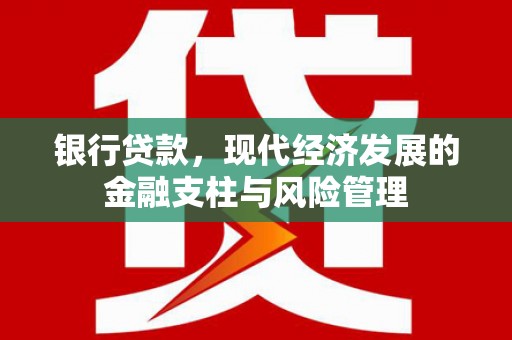 任城银行贷款，现代经济发展的金融支柱与风险管理