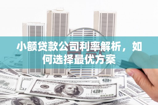 任城小额贷款公司利率解析，如何选择最优方案