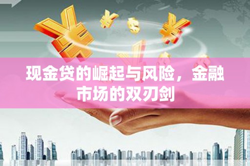 任城现金贷的崛起与风险，金融市场的双刃剑