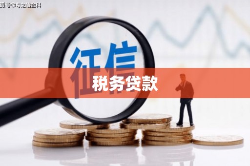 任城税务贷款