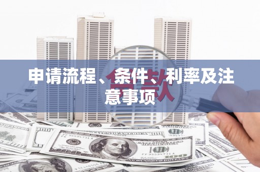 任城申请流程、条件、利率及注意事项