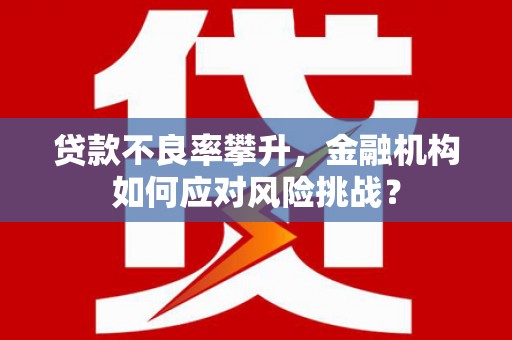 任城贷款不良率攀升，金融机构如何应对风险挑战？