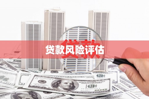任城贷款风险评估