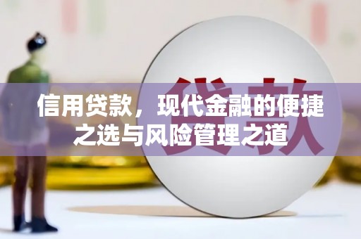 任城信用贷款，现代金融的便捷之选与风险管理之道