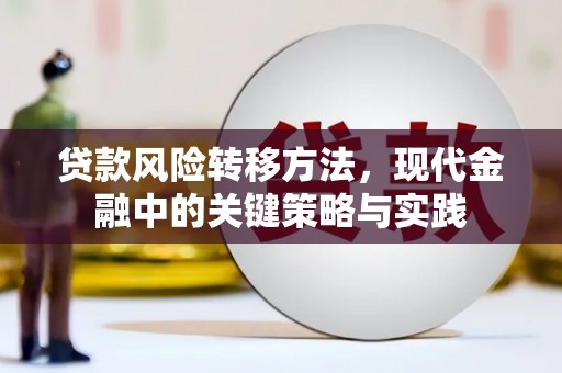 任城贷款风险转移方法，现代金融中的关键策略与实践