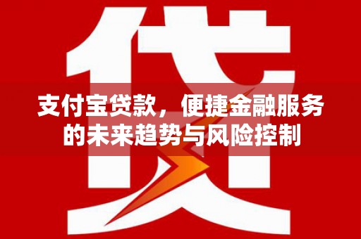 任城支付宝贷款，便捷金融服务的未来趋势与风险控制