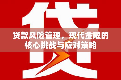 任城贷款风险管理，现代金融的核心挑战与应对策略