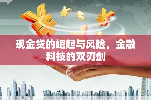 任城现金贷的崛起与风险，金融科技的双刃剑