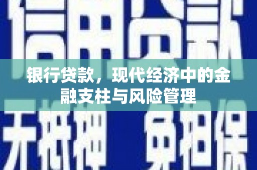 任城银行贷款，现代经济中的金融支柱与风险管理