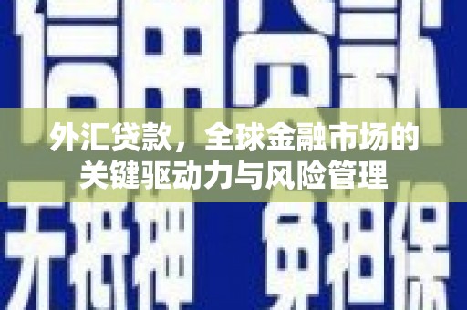任城外汇贷款，全球金融市场的关键驱动力与风险管理