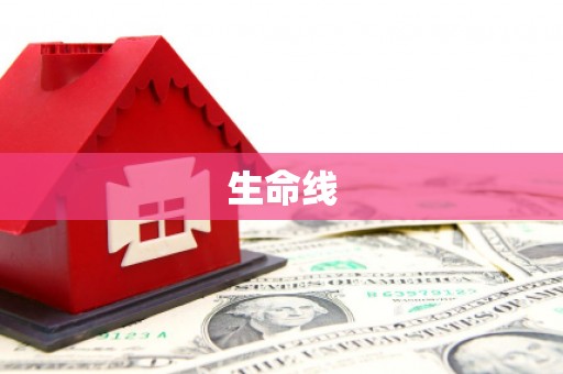 任城生命线