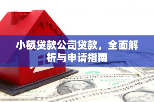 任城小额贷款公司贷款，全面解析与申请指南