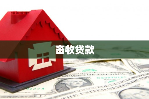 任城畜牧贷款