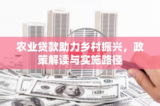 任城农业贷款助力乡村振兴，政策解读与实施路径