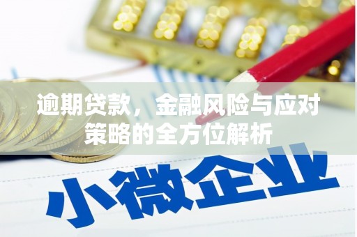 任城逾期贷款，金融风险与应对策略的全方位解析