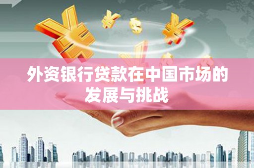任城外资银行贷款在中国市场的发展与挑战
