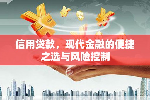 任城信用贷款，现代金融的便捷之选与风险控制