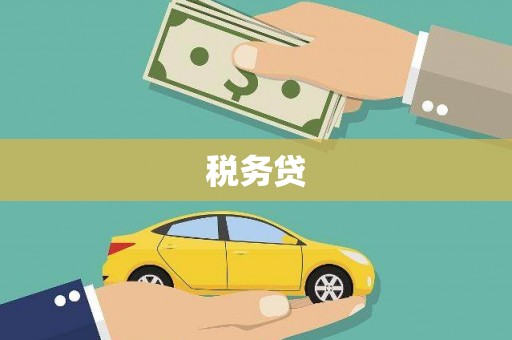 任城税务贷