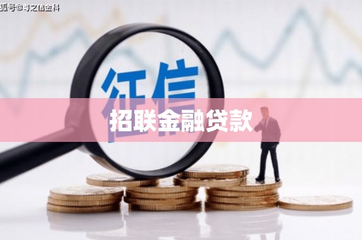 任城招联金融贷款