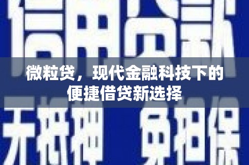 任城微粒贷，现代金融科技下的便捷借贷新选择